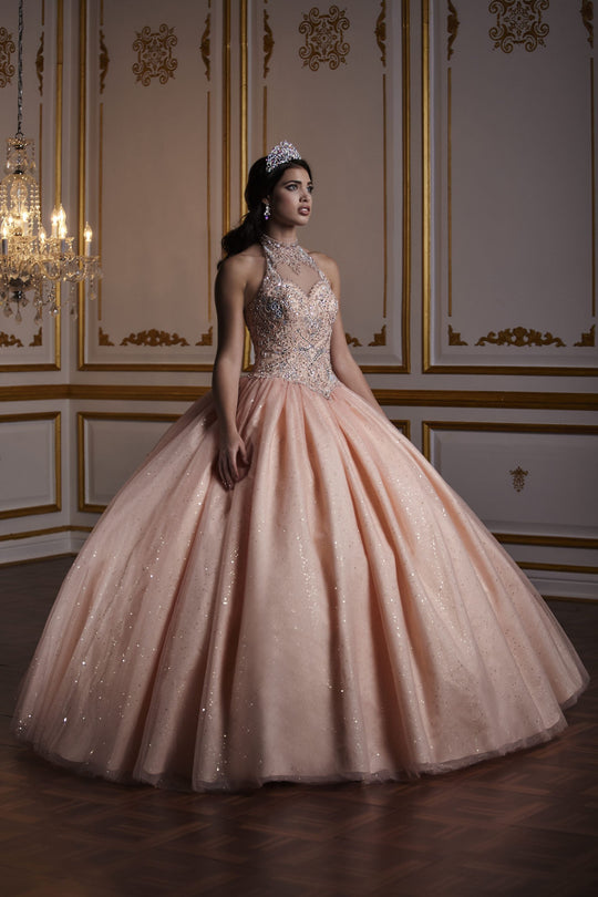 Fiesta Gowns - 56382 Halter Neck Quinceanera Gown in Pink