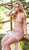 Jovani - 57300 Gradient Rhinestone Embellished Illusion Gown In Pink