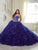 Quinceanera Collection - 26801 Crystal Embellished Sweetheart Ballgown