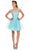 Bejeweled Illusion Scoop Neck Dress