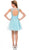 Bejeweled Illusion Scoop Neck Dress