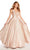 Alyce Paris - 60123 Plunging V-neck Shimmering A-line Gown in Pink