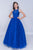 Nina Canacci - 6021 Embroidered Illusion Bodice Tulle Ballgown In Pink In Blue