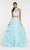 Alyce Paris - 60406 Two Piece High Halter Embroidered Ballgown In Green