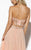 Jolene Collection - 15068 Embroidered Two Piece Strapless Gown In Pink