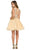 Two-Piece Lace and Tulle Cocktail Dress