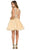 Nox Anabel - 6057 Two-Piece Lace and Tulle Cocktail Dress