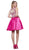 Sleeveless Illusion Adorned Cocktail Dress