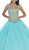 Lace Illusion Jewel Evening Gown