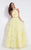 Rachel Allan  - 6110 Floral Embroidered Halter Gown in Yellow