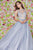 Angela & Alison - 61126 Illusion Floral Lace Festooned Ballgown In Silver