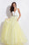 Rachel Allan  - 6114 Plunging Sweetheart Ornate Tulle Gown in Yellow