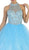 Exquisite High Illusion Organza Formal Ballgown