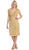 Tiered Scallop Lace V-Neck Formal Dress