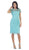 Short Sleeve Illusion Lace Sheath Formal Dress
