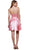 Illusion Laced Halter Short Prom Dress
