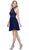 Ornate Lace Appliqued Illusion Halter Dress