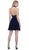 Ornate Lace Appliqued Illusion Halter Dress