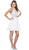 Ornate Lace Appliqued Illusion Halter Dress