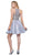 Embellished Illusion Halter A-line Dress