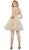 Sleeveless Straight-Across Neck Chiffon Cocktail Dress
