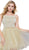 Sleeveless Straight-Across Neck Chiffon Cocktail Dress