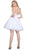 Sleeveless Straight-Across Neck Chiffon Cocktail Dress