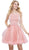 Sleeveless Straight-Across Neck Chiffon Cocktail Dress