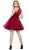 Lace Illusion High Halter A-line Dress