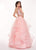 Rachel Allan - 6412 Two-Piece Floral Motif Shoulders Tiered Tulle Gown In Pink