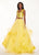 Rachel Allan - 6412 Two-Piece Floral Motif Shoulders Tiered Tulle Gown In Yellow