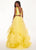 Rachel Allan - 6412 Two-Piece Floral Motif Shoulders Tiered Tulle Gown In Yellow