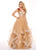 Rachel Allan - 6412 Two-Piece Floral Motif Shoulders Tiered Tulle Gown In Neutral and Gold