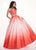 Rachel Allan - 6425 Beaded Halter Neck Ombre Mikado A-Line Gown