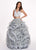 Rachel Allan - 6427 Two Piece Beaded Deep V-neck Tulle Ballgown in Silver