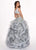 Rachel Allan - 6427 Two Piece Beaded Deep V-neck Tulle Ballgown in Silver