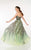 Paris Prom by Mon Cheri - 116749 Long Dress In Mint Multicolor