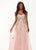 Rachel Allan - 6474 Embroidered Floral Illusion Corset Gown In Pink