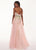 Rachel Allan - 6474 Embroidered Floral Illusion Corset Gown In Pink