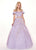 Rachel Allan - 6484 Two-Piece Asymmetrical Embroidered Ballgown In Purple