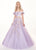 Rachel Allan - 6484 Two-Piece Asymmetrical Embroidered Ballgown In Purple