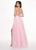 Rachel Allan - 6493 Embroidered V-neck Swiss Dot Crepe A-Line Gown in Pink