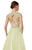 Alyce Paris - 6570 Beaded Appliqued Tulle Ballgown In Green and Neutral