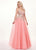 Rachel Allan - 6587 Plunging V-Neck Floral Embroidered Gown In Pink