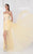 Lace Straight Across Neck Dress 2752
