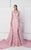 Lace Illusion Bateau Neck Gown 2764