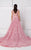 Lace Illusion Bateau Neck Gown 2764