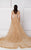 Sheer Neckline Lace Evening Gown 2780