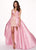 Rachel Allan - 6611 Embroidered Floral Accented Overskirt Gown In Pink