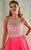 Tiffany Homecoming - Ornamented Scoop A-Line Long Evening Gown 46042 In Pink